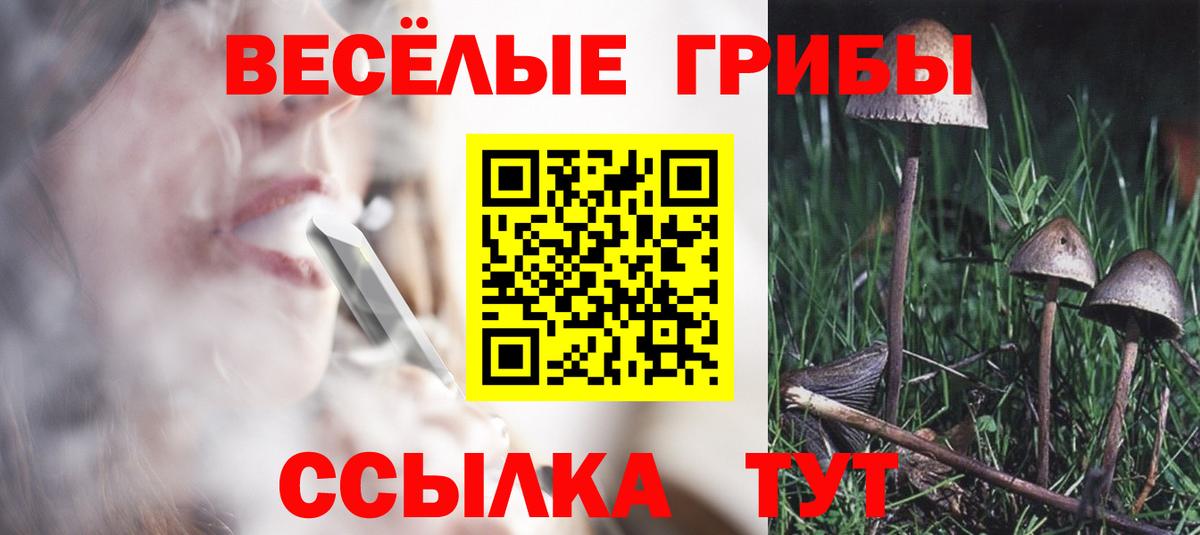 Сертолово  Псилоцибиновые грибы GOLDEN TEACHER  Галлюциногенные грибы прущие грибы  Вход с VPN 